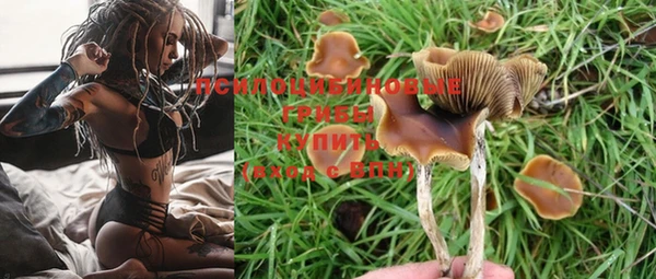 прущая мука Армянск