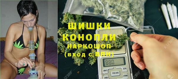 дмт Арсеньев